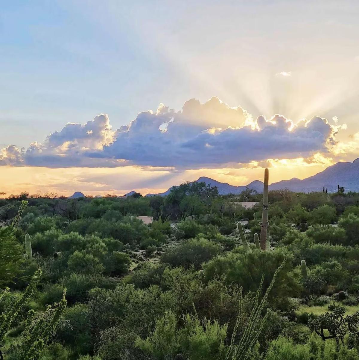 Luxury 3Bd 2Ba Home Near Tucson With Desert Views - Low Summer Rates! Oro Valley Exterior photo