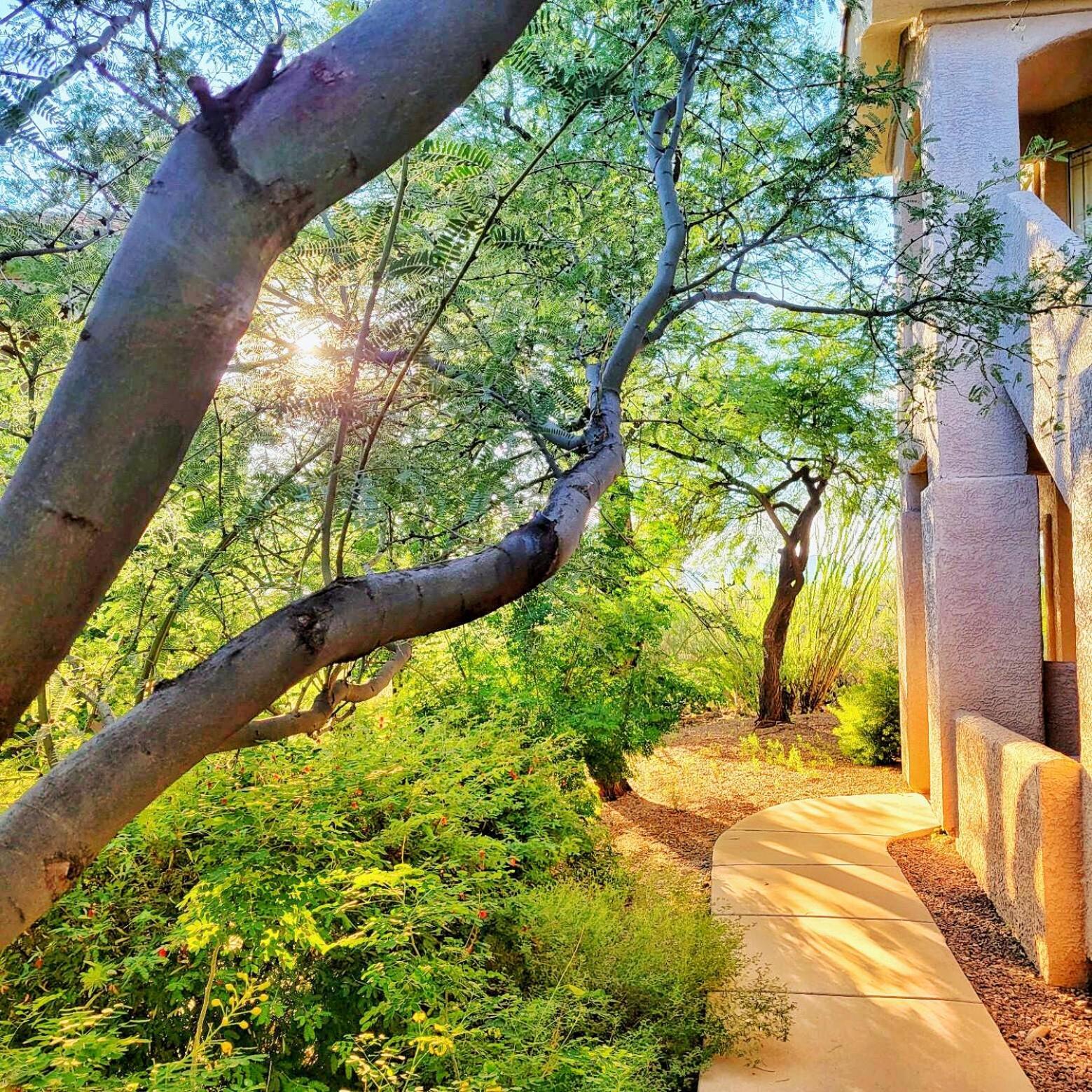 Luxury 3Bd 2Ba Home Near Tucson With Desert Views - Low Summer Rates! Oro Valley Exterior photo